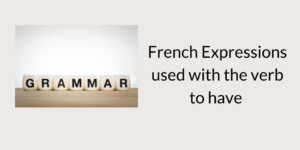 French expressions with the verb to have